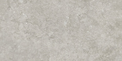 60*120 Orion Grey Гранит керамический 